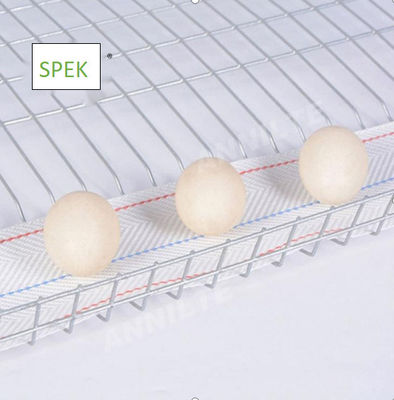 Faixa transportadora de ovos anti-UV e antienvelhecimento para sistema de recolha de ovos de criação de aves de capoeira