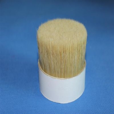 O dobro branco de Chungking fervido eriça puro selvagem de 76mm para escovas de pintura