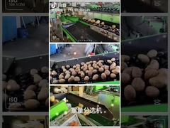 máquina da lavagem e de classificação do fruto