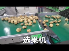 Personalize o graduador do vegetal de fruto