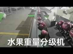 Classificador eletrônico automático do fruto e para pesar a máquina