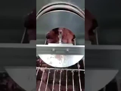 Correia de separação de espinhas de peixe, correia de separação de desossa, correia transportadora